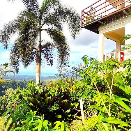 Dave Parker Eco Lodge Hotel أبيا المظهر الخارجي الصورة