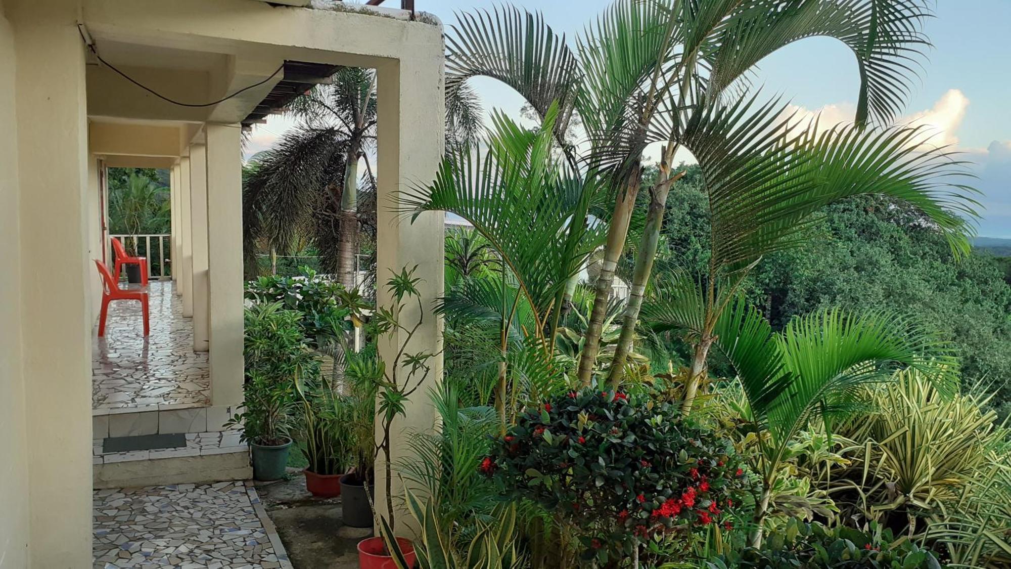 Dave Parker Eco Lodge Hotel أبيا المظهر الخارجي الصورة